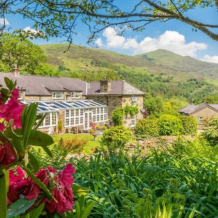 Sygun Fawr Country House 贝德格勒特 外观 照片